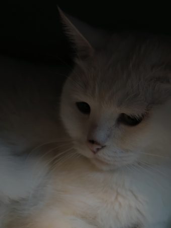 11的深夜冒险