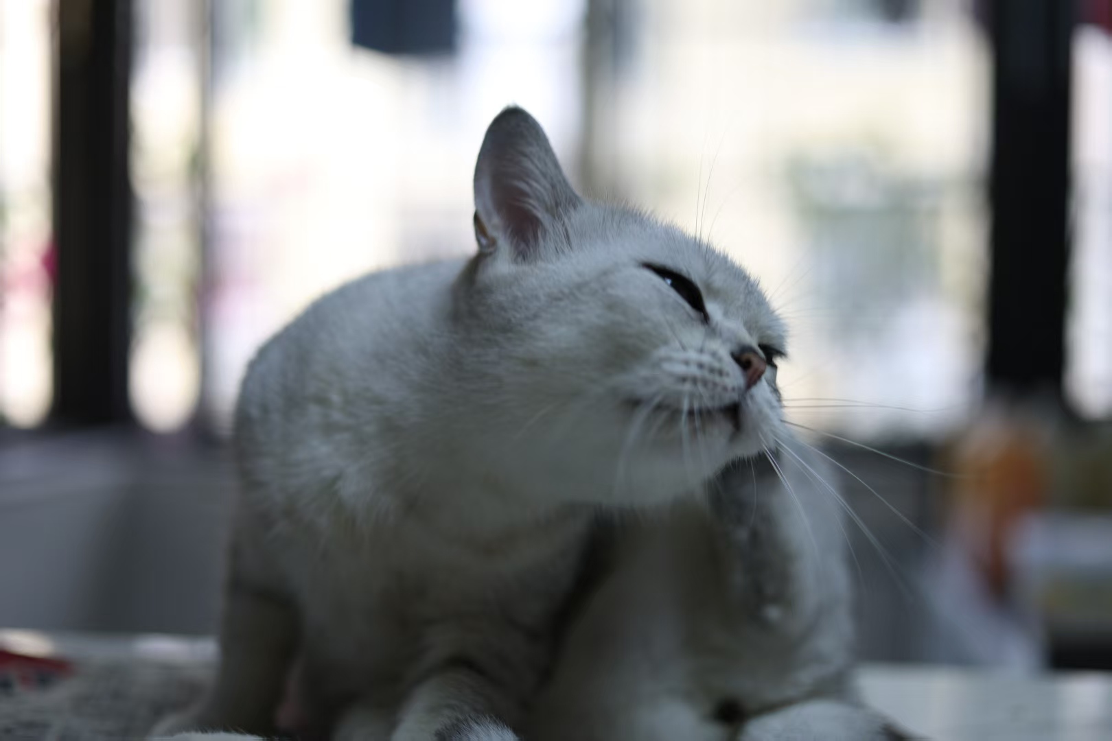 张嘴露牙·口腔主题